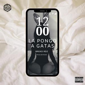 La Pongo a Gatas (feat. Breko Rdz & Refrank)