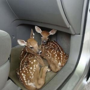 DREAMIN (feat. davy)