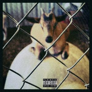 THE BAG INTERLUDE (Explicit)