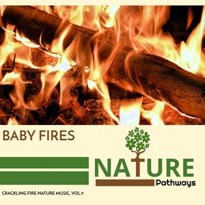 Baby Fires - Crackling Fire Nature Music, Vol.9