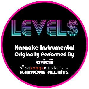 Levels (Originally Performed By Avicii) [Karaoke Audio Instrumental Version]