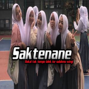 Saktenane (ins)