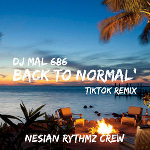 BACK TO NORMAL' (feat. Dj Mal) [TikTok Remix]