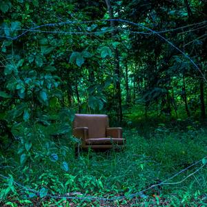 Será el cable (Pa' poder caminar)