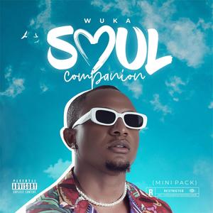 Soul companion (Mini Pack) [Explicit]