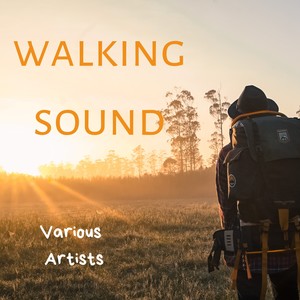 Walking Sound