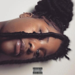 IN THE MIX (feat. GREY VALENTINE, REINA LYRICS, VAEH BANDZ & KAH HOUND) (Explicit)