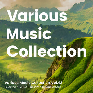 Various Music Collection Vol.42 -Selected & Music-Published by Audiostock-