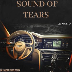 Lijeje (feat. Broadnex SA, 85 teey & Mosco)