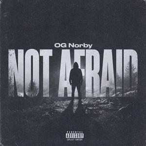 Not Afraid (Explicit)封面