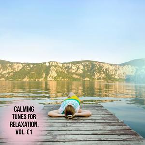 My Dinner Night Piano (B major)