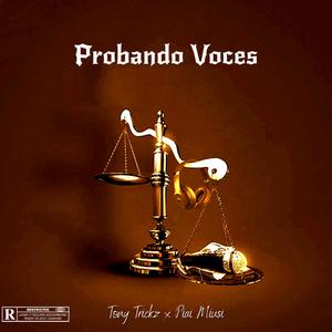 Probando Voces (feat. Tony Trickz) [Explicit]