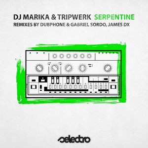 Serpentine (James DX Remix)