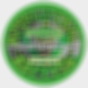 Greatest Of All Time (feat. Hot Dollar, Nutso, Will Pack, Timtation, Craig G, DMC, El Loco, Flip, Deep Surface, Kristyle, Lotus, PaPaul, 9th Bishop, Chapel, Vampstress & Danny Boy) (Radio Edit|Explicit)