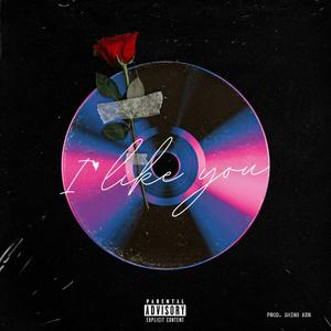 I Like You (feat. Lavos Slime) (Explicit)