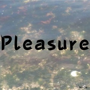 Pleasure