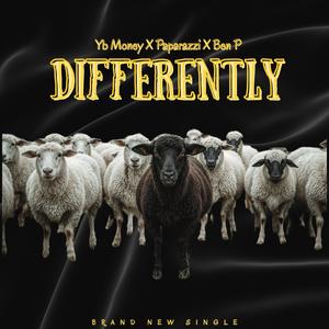 DIFFERENTLY (feat. BennyP & Paparazzi)