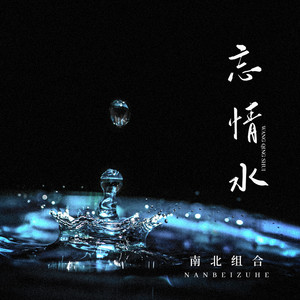 忘情水-南北组合