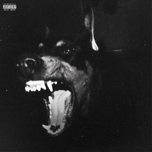 Unleashed (Explicit)