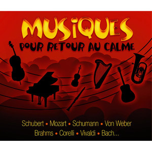 Musiques pour retour au calme (L'intégrale)