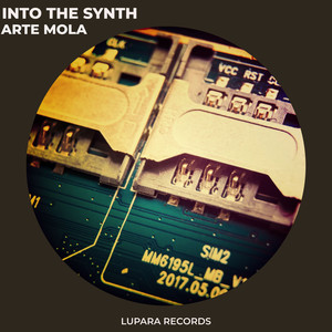 Into The Synth