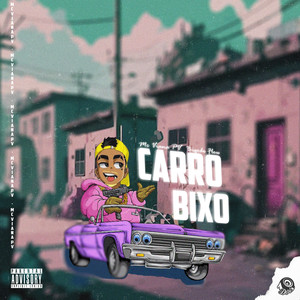 Carro Bixo