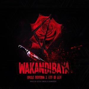 Wakandibaya (feat. KSG Di Don)