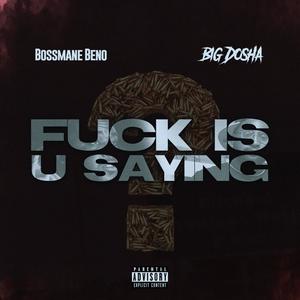 **** is u sayin (feat. Big Dosha) [Explicit]