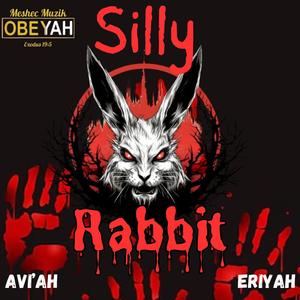 Silly Rabbit (feat. Avi’Ah & EriYah) (Explicit)