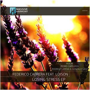 Losing Stress (Pedro Capelossi Deep Interpretation Mix)