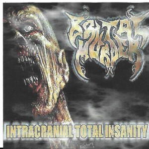 Intracranial Total Insanity (Explicit)