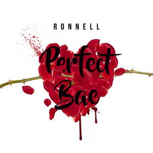 Perfect Bae (Explicit)