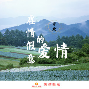 虚情假意的爱情