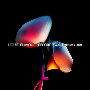 Liquidamente