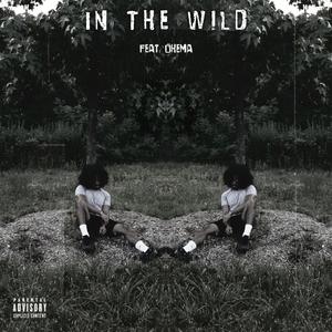 In The Wild (feat. Ohema) [Explicit]