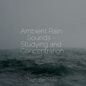 Ambient Rain Sounds - Studying and Concentration