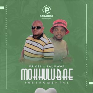 MOKHULUBAE (Instrumental)