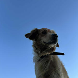 Rivière (drip) (feat. Hulek) (Explicit)