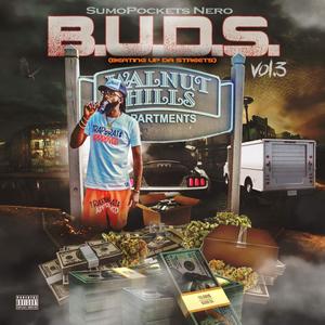 B.U.D.S. Vol3 (Explicit)