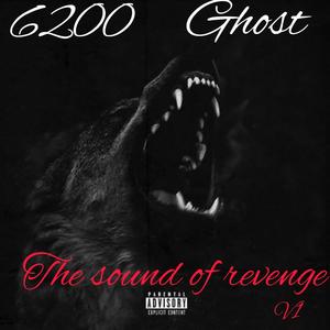 The sound of Revenge V1 (Explicit)