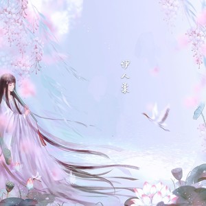 伊人柔 (伴奏)