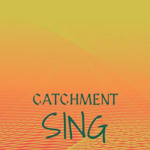 Catchment Sing