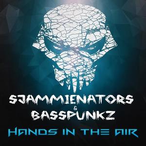 Hands in the Air(feat. Basspunkz)