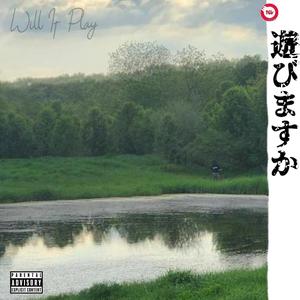 Will It Play (Explicit)