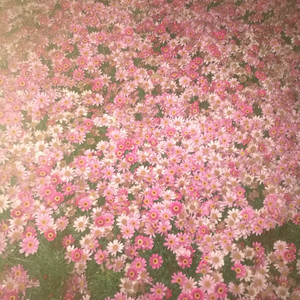 哪里的天空不下雨