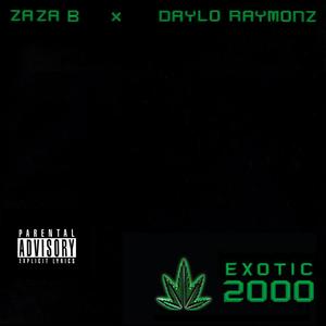 Exotic 2000 (feat. Daylo Raymonz) [Explicit]