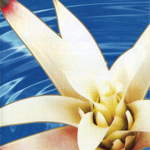 Kyokusei