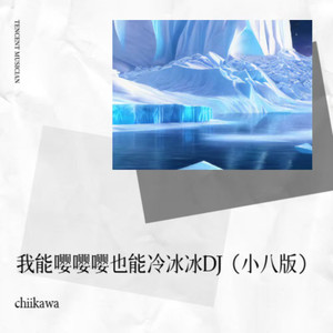 我能嘤嘤嘤也能冷冰冰DJ (小八版)