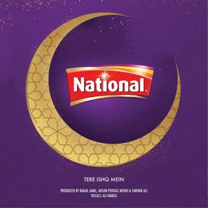 Tere Ishq Mein (feat. Ali Hamza, Ahsan Pervaiz Mehdi & Farhan Ali) (National Condiments)