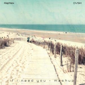 If I need you (feat. DVSKI) (Remix)